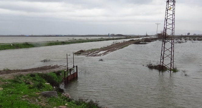 Baraj kapakları açıldı, mahalleri su bastı