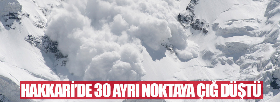 Hakkari’de 30 ayrı noktaya çığ düştü