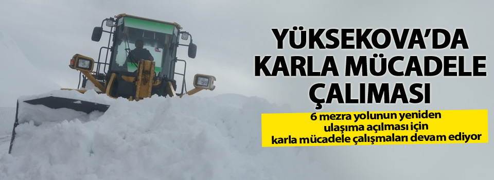 6 mezra yolunda karla mücadele çalışması