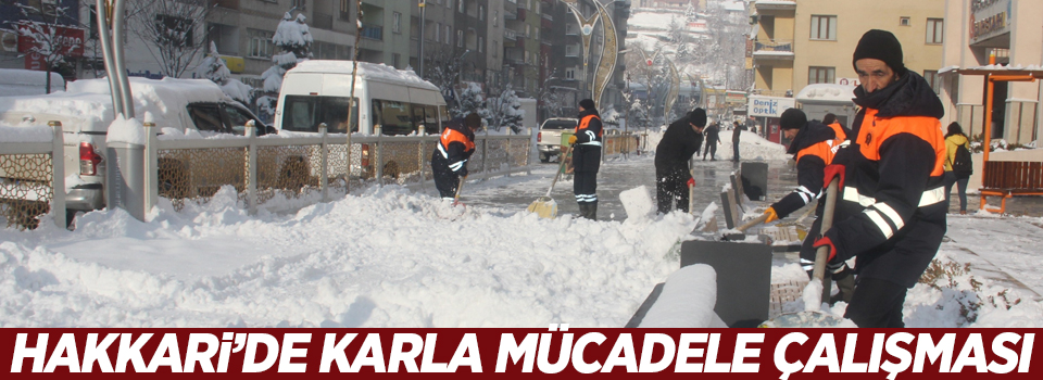 Hakkari’de karla mücadele çalışması