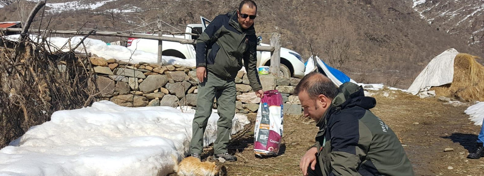 Hakkari’de doğaya yem bırakıldı