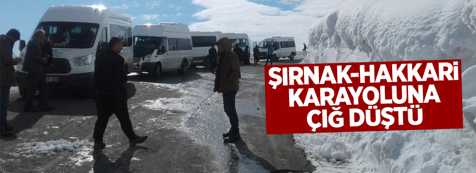 Şırnak-Hakkari karayoluna çığ düştü