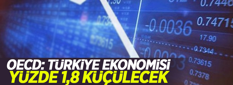 OECD: Türkiye ekonomisi yüzde 1,8 küçülecek