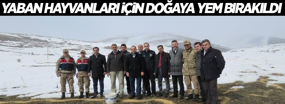 Yaban hayvanları için doğaya yem bırakıldı