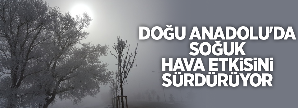 Doğu Anadolu'da soğuk hava