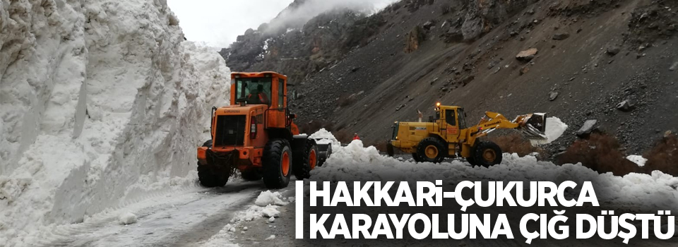 Hakkari-Çukurca karayoluna çığ düştü