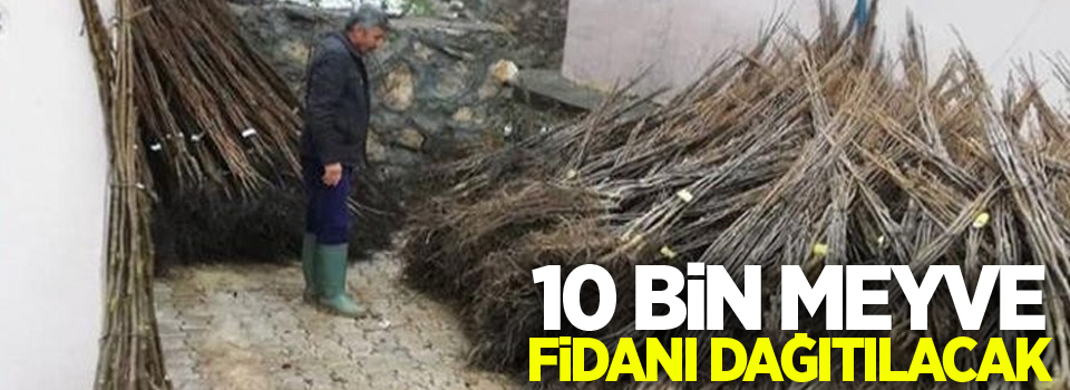 10 bin meyve fidanı dağıtılacak