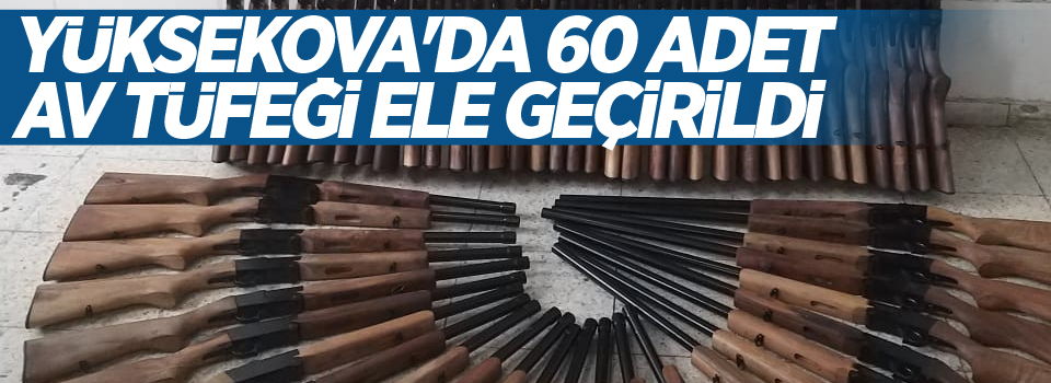 Yüksekova'da 60 adet av tüfeği ele geçirildi