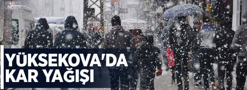 Yüksekova'da Mart ayında kar sürprizi