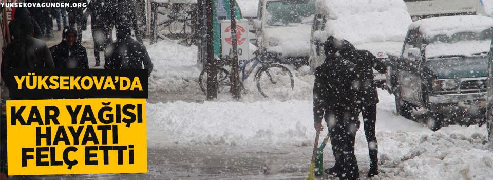 Yüksekova'da kar yağışı hayatı olumsuz yönden etkiledi