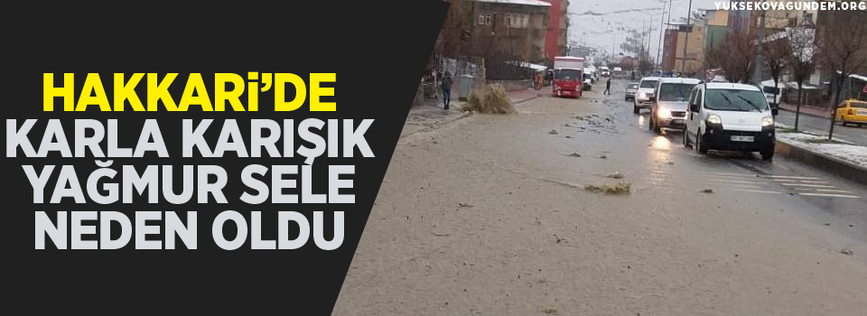 Hakkari'de karla karışık yağmur sele neden oldu