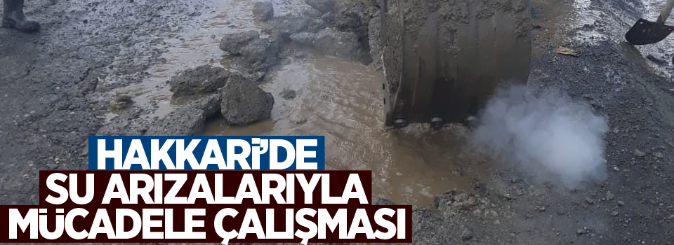 Hakkari’de su arızalarıyla mücadele çalışması