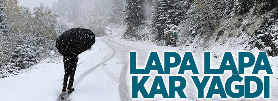 Lapa lapa kar yağdı