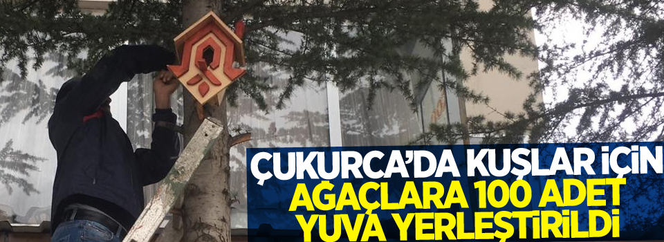 Çukurca’da kuşlar için ağaçlara 100 adet yuva yerleştirildi