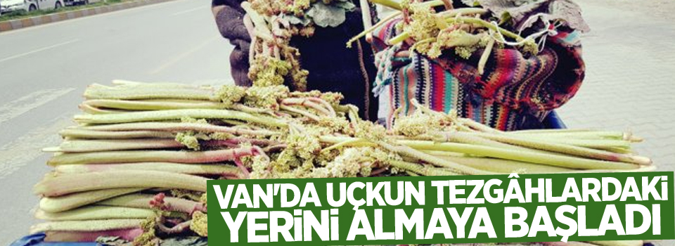 Van'da Uçkun tezgâhlardaki yerini almaya başladı