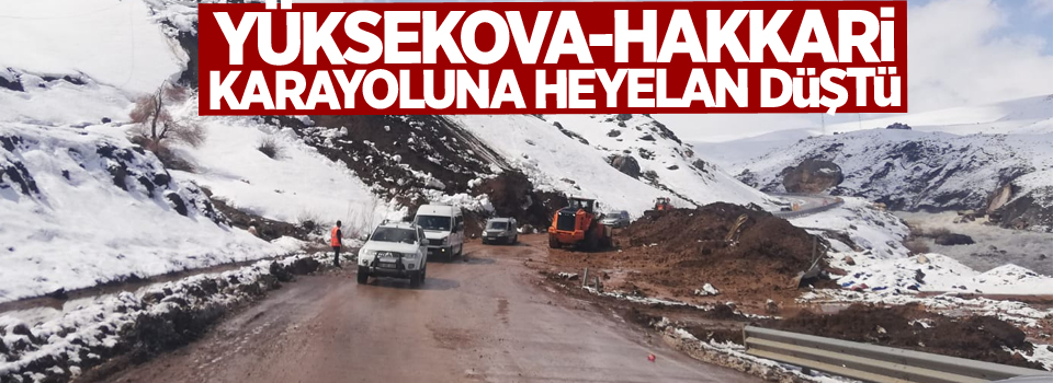 Yüksekova-Hakkari karayoluna heyelan düştü