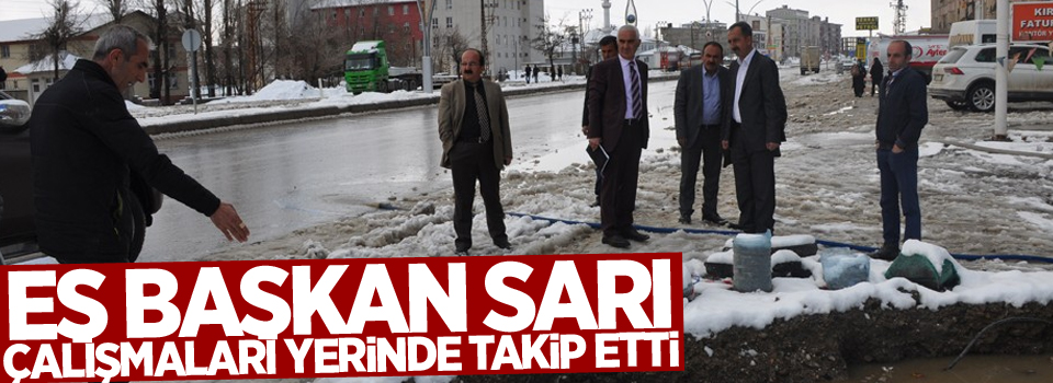 Eş Başkan Sarı Çalışmaları yerinde takip etti