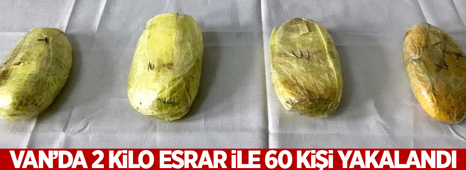 Van'da 2 kilo esrar ile 60 kişi yakalandı