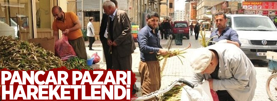 Pancar Pazarı hareketlendi