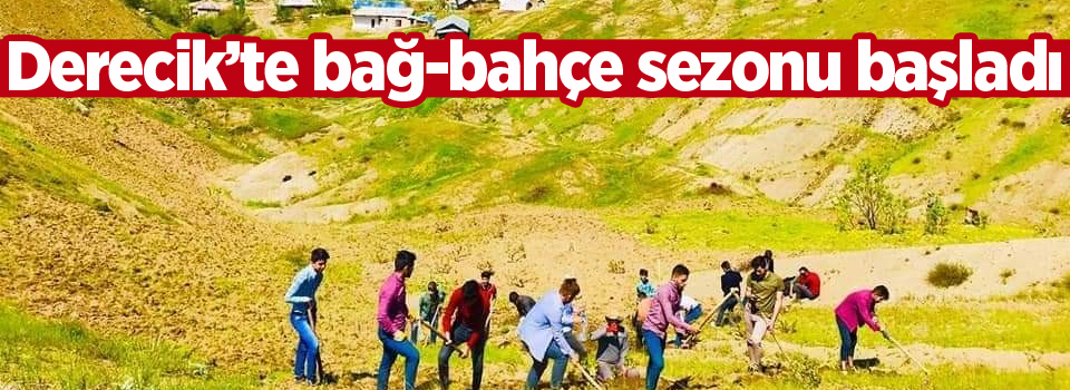 Derecik’te bağ-bahçe sezonu başladı