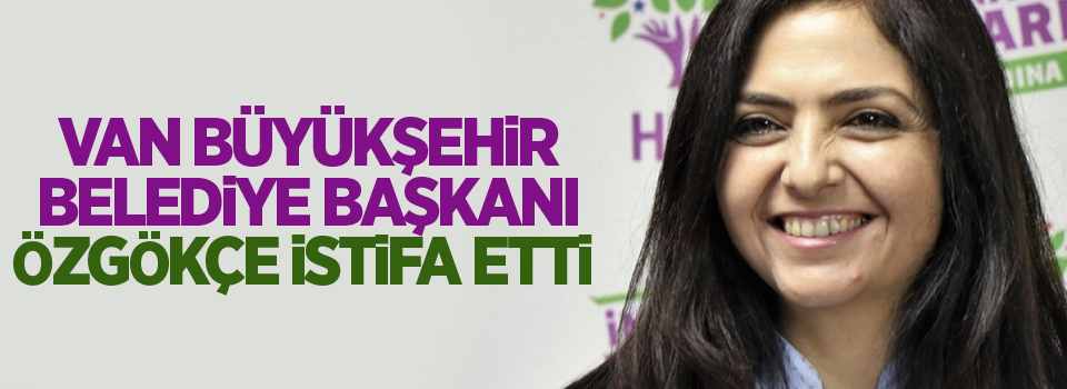 Van Büyükşehir Belediye Başkanı Özgökçe istifa etti