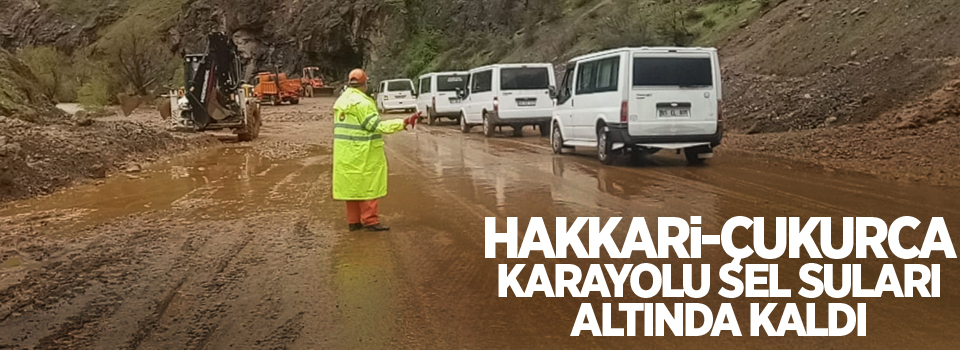 Hakkari-Çukurca karayolu sel suları altında kaldı