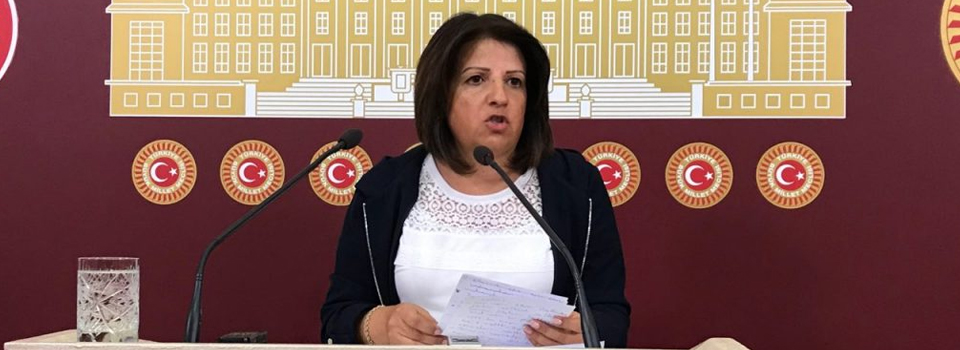 HDP'li Kurtulan'dan 'Öcalan ve YSK' yorumu