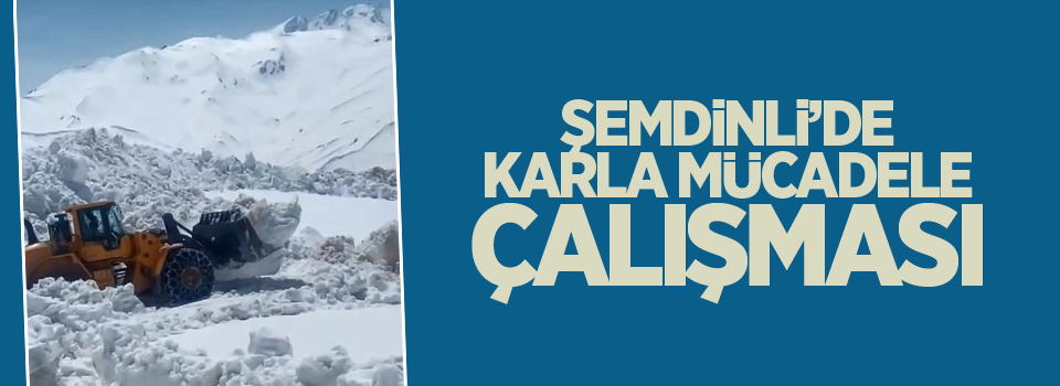 Şemdinli’de karla mücadele çalışmaları