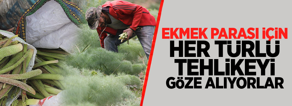 Ekmek parası için her türlü tehliyeki göze alıyorlar