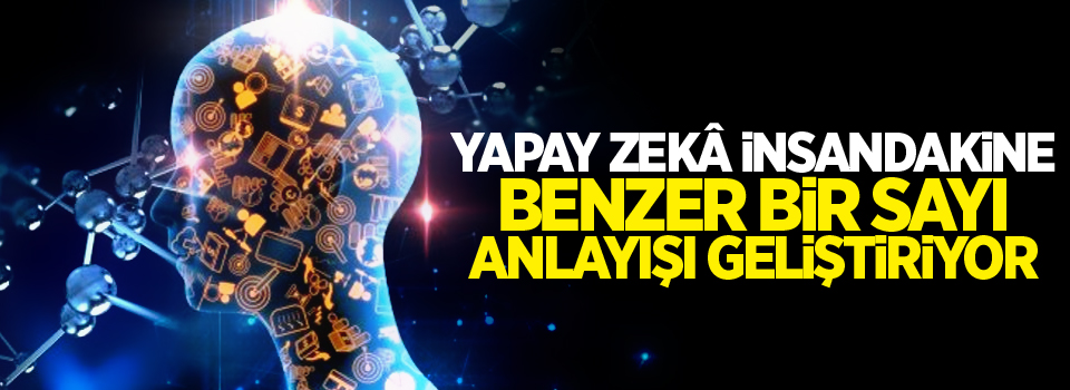 Yapay Zekâ insandakine benzer bir sayı anlayışı geliştiriyor