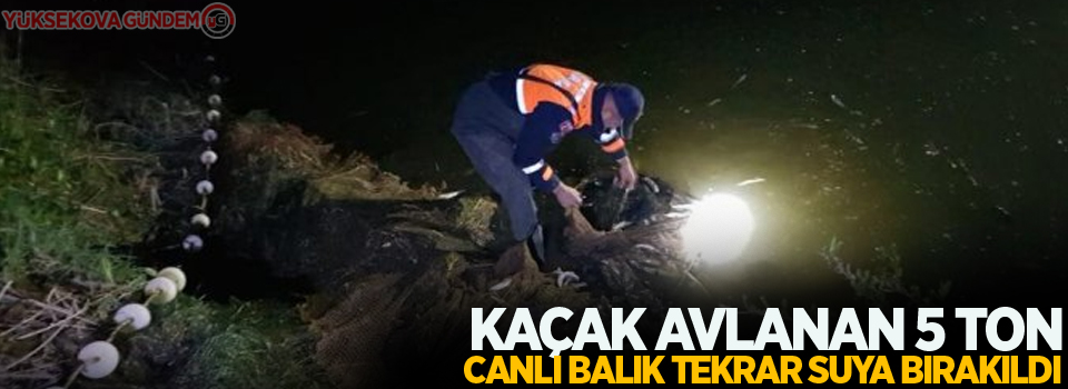 Kaçak avlanan 5 ton canlı balık tekrar suya bırakıldı