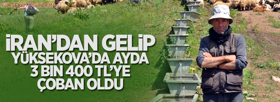 İran’dan gelip Yüksekova’da ayda 3 bin 400 TL’ye çoban oldu