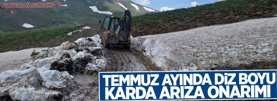 Temmuz ayında diz boyu karda arıza onarımı