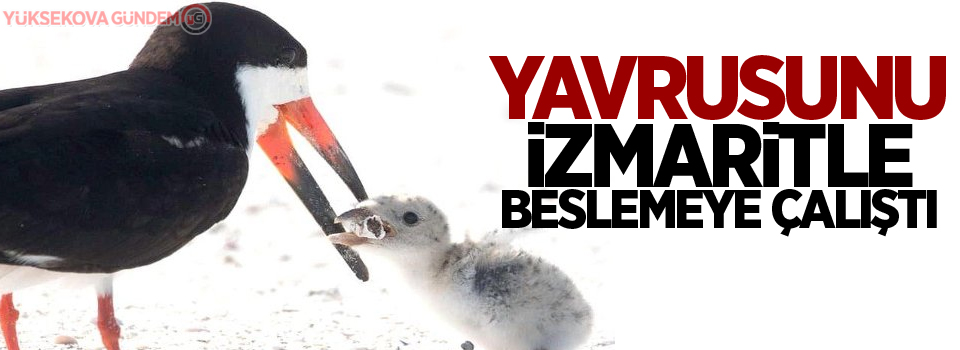 Yavrusunu izmaritle beslemeye çalıştı