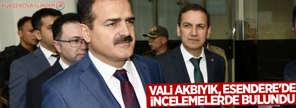 Vali Akbıyık, Esendere'de incelemelerde bulundu