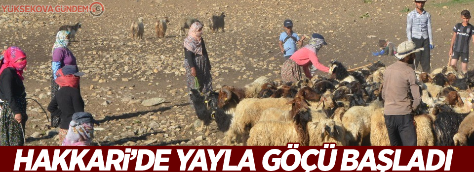 Hakkari’de yayla göçü başladı