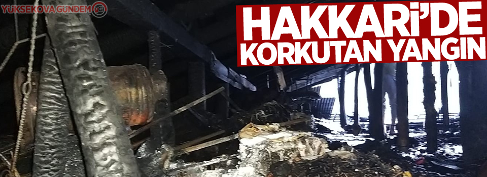 Hakkari’de korkutan yangın