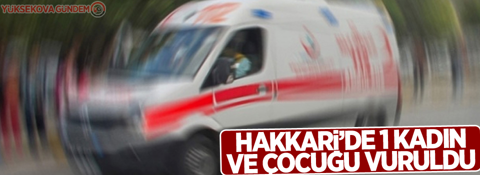 1 kadın ve çocuğu vuruldu