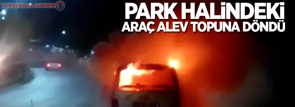 Park halindeki araç alev topuna döndü