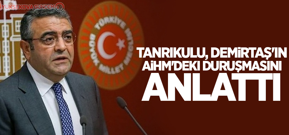 Tanrıkulu, Demirtaş'ın AİHM'deki duruşmasını anlattı