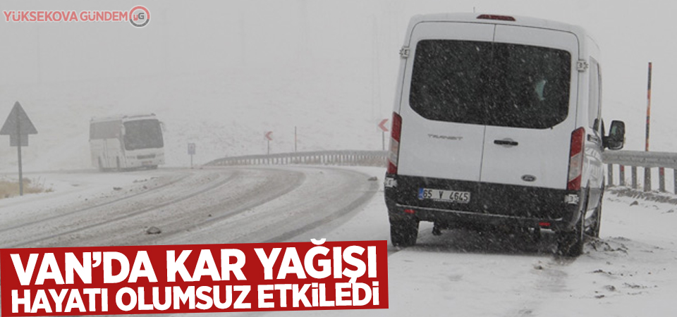 Van'da kar yağışı hayatı olumsuz etkiledi