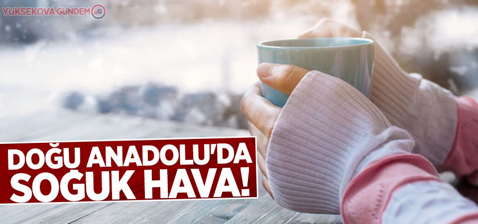 Doğu Anadolu'da soğuk hava!