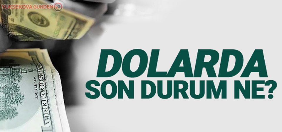 Dolar haftaya artışla başladı