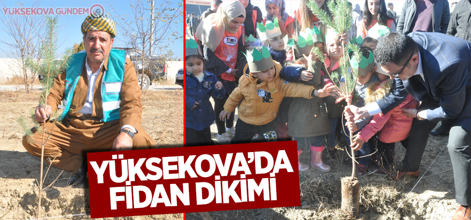 Yüksekova’da fidan dikimi