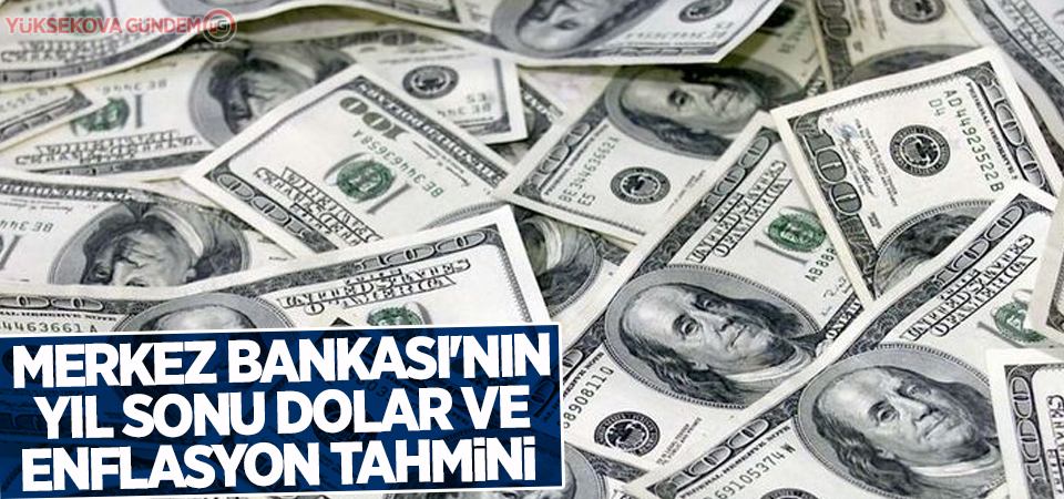 Merkez bankası'nın yıl sonu dolar ve enflasyon tahmini