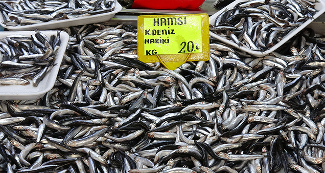 Karadeniz hamsisinin kilogram fiyatında düşüş sürüyor