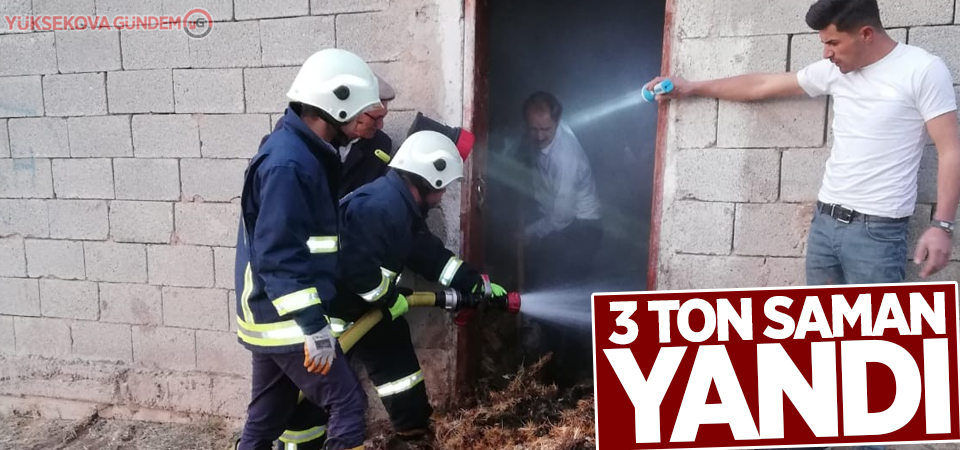 Özalp'ta samanlık yangını