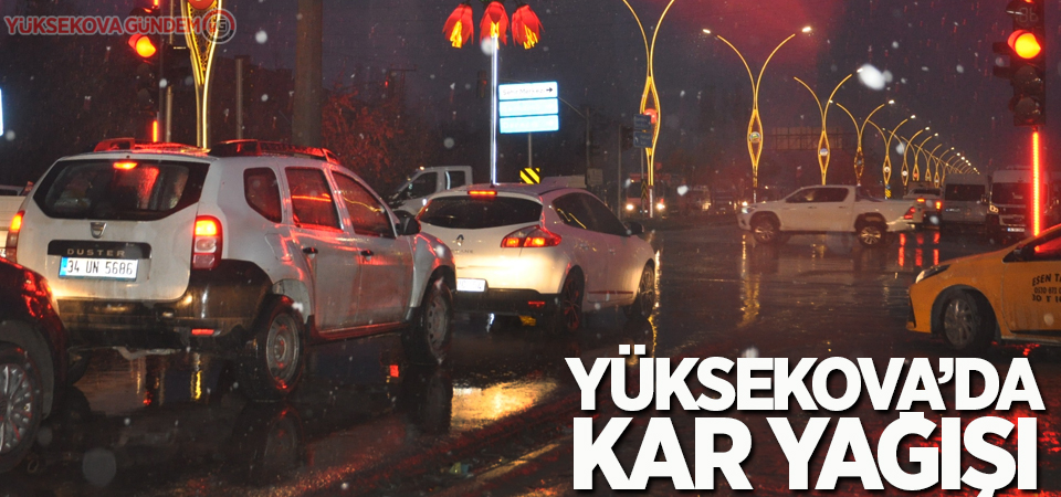 Yüksekova'da kar yağışı