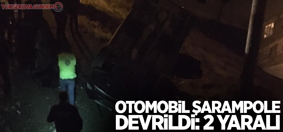 Otomobil şarampole devrildi: 2 yaralı