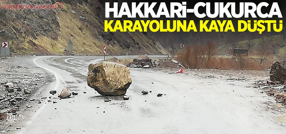 Hakkari-Çukurca karayoluna kaya düştü